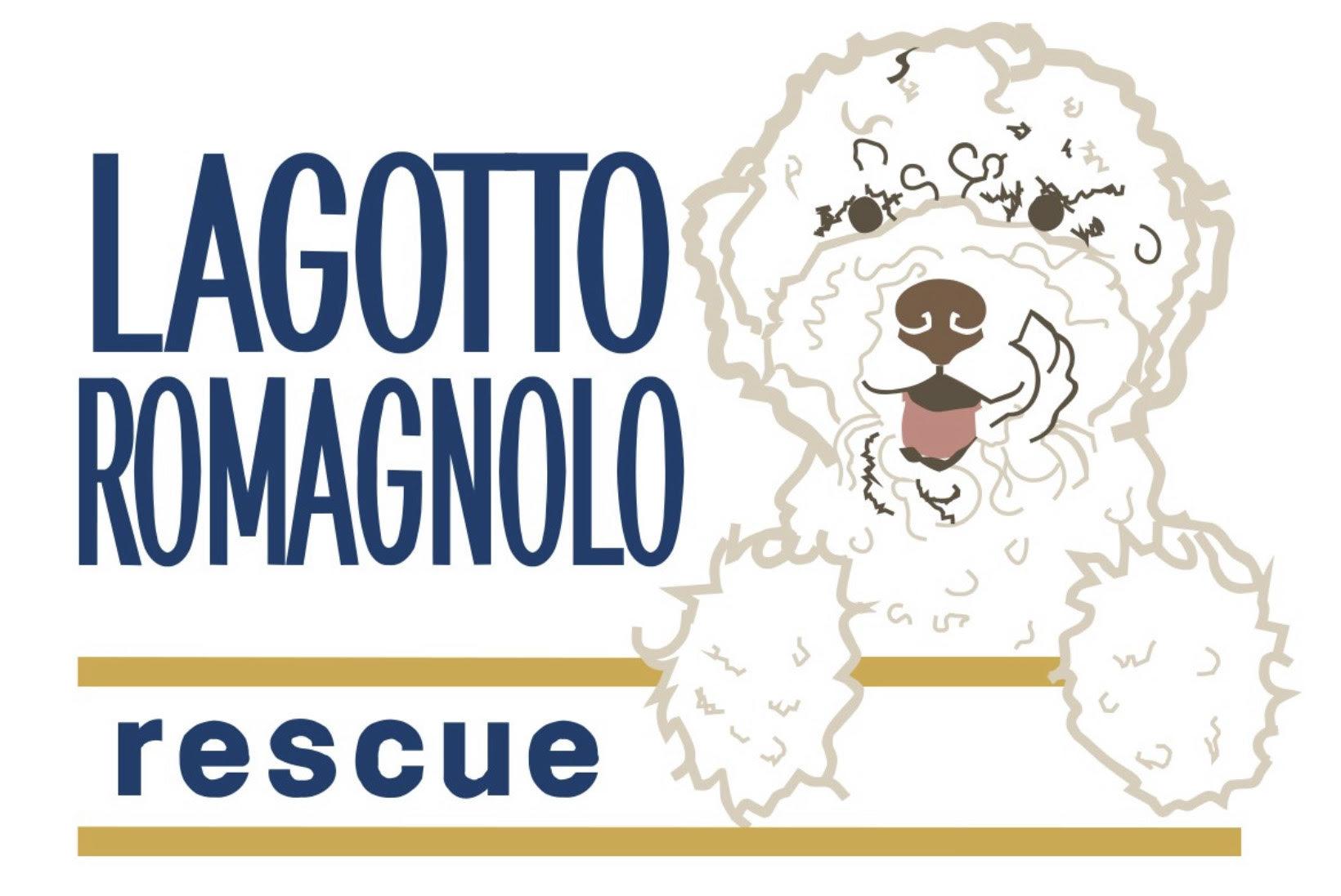 Lagotto Romagnolo Dog Rescue